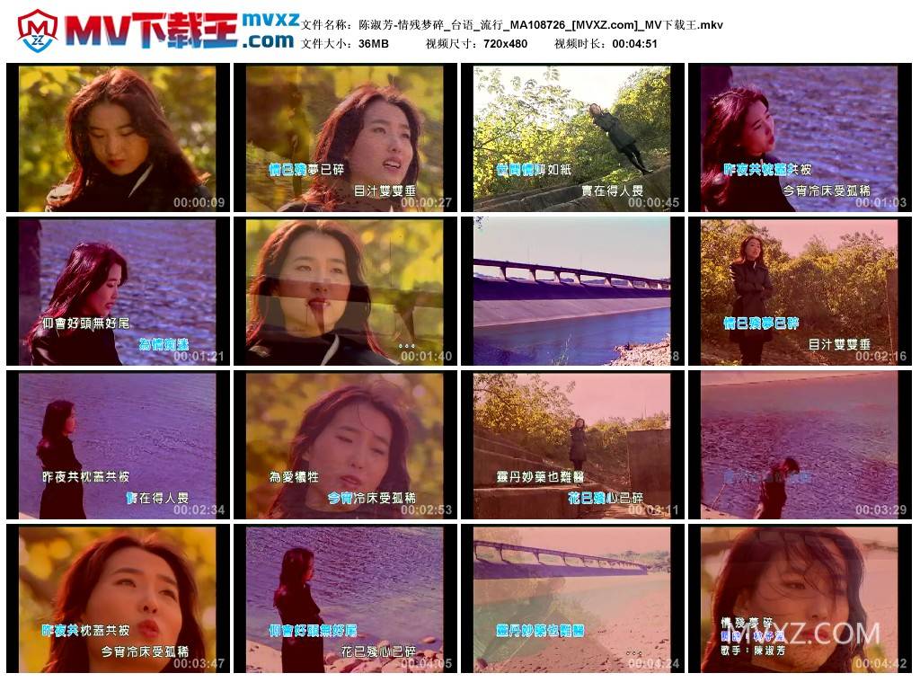 陈淑芳-情残梦碎_台语_流行_MA108726